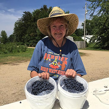 Mary picking blueberries